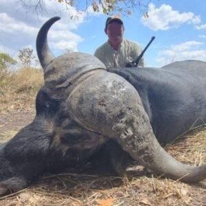 Cape Buffalo hunt in Mozambique's Niassa Province