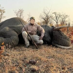 Elephant Hunting in Zimbabwe: Expect 30lb and Larger!