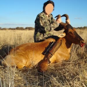 Hunting in SA: Tsessebe, Impala, Waterbuck & 2 More Species