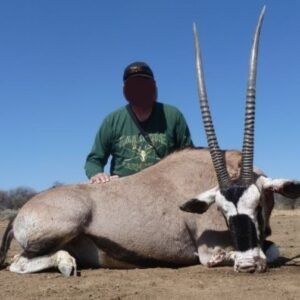 Hunt Gemsbok, Zebra, Impala & 2 More Species in Namibia