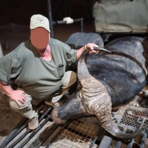 Epic Free-Range Cape Buffalo Hunting in Zimbabwe