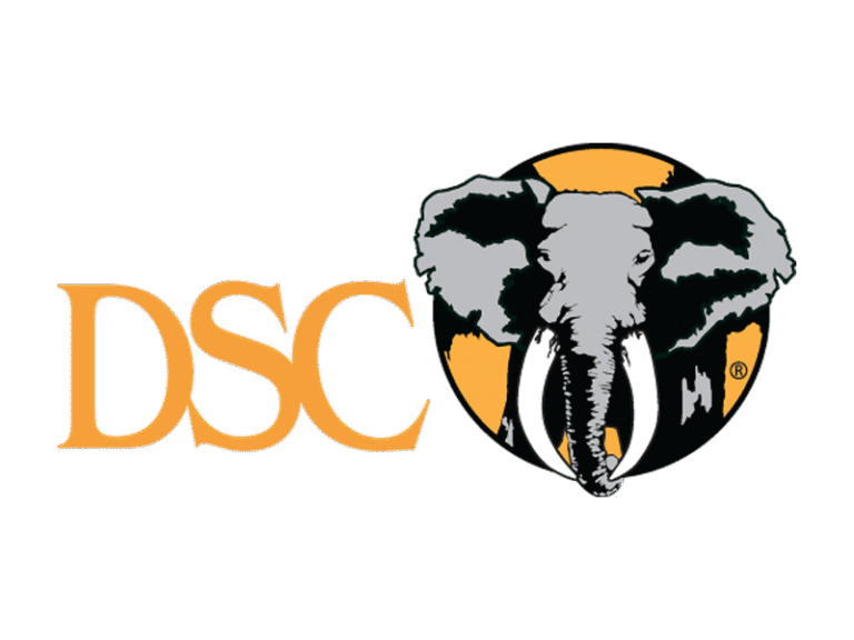logo-dsc